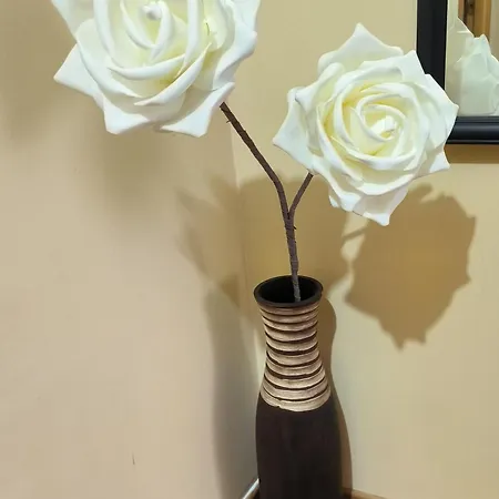 El Piso Del Camino Appartement