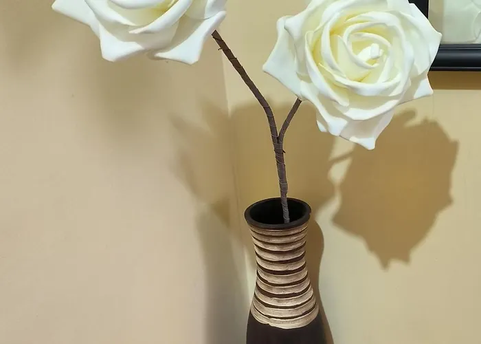 Casa Nano Apartamento